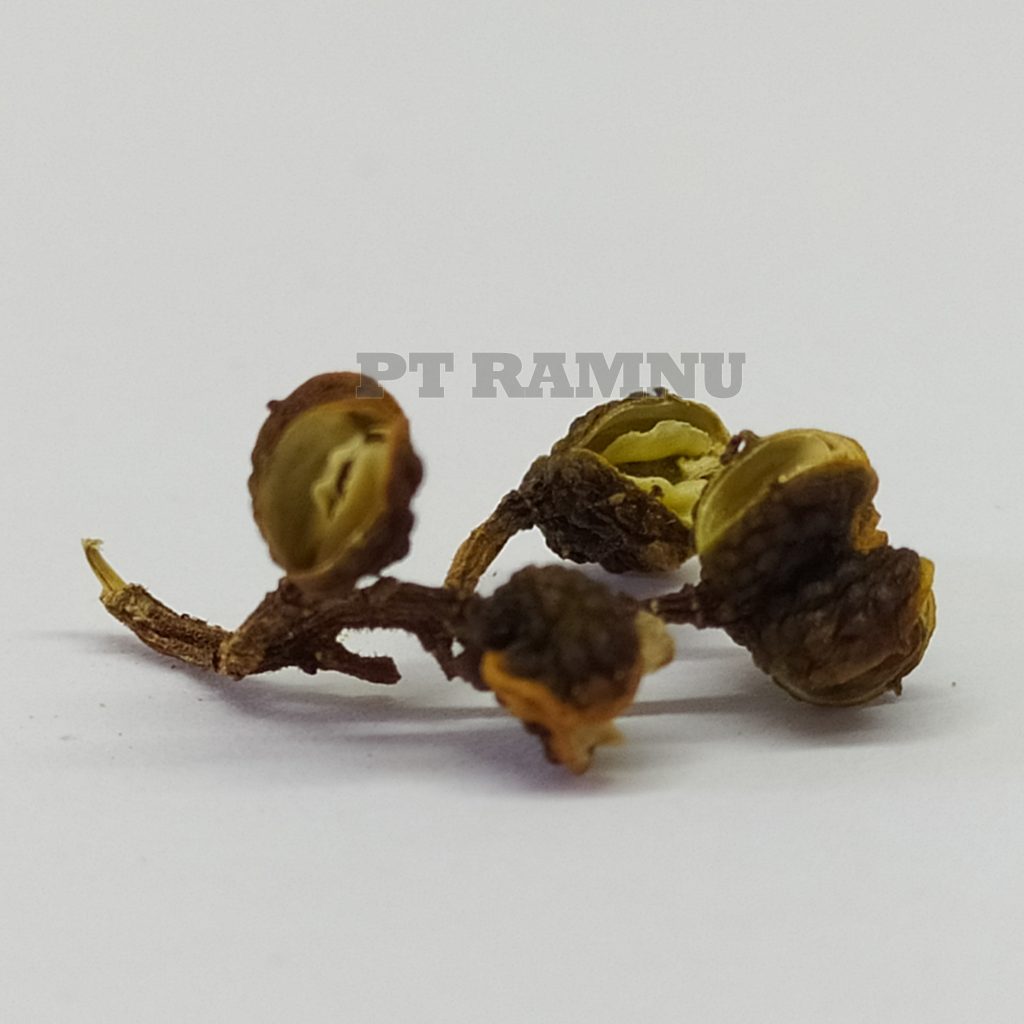 Sichuan Pepper