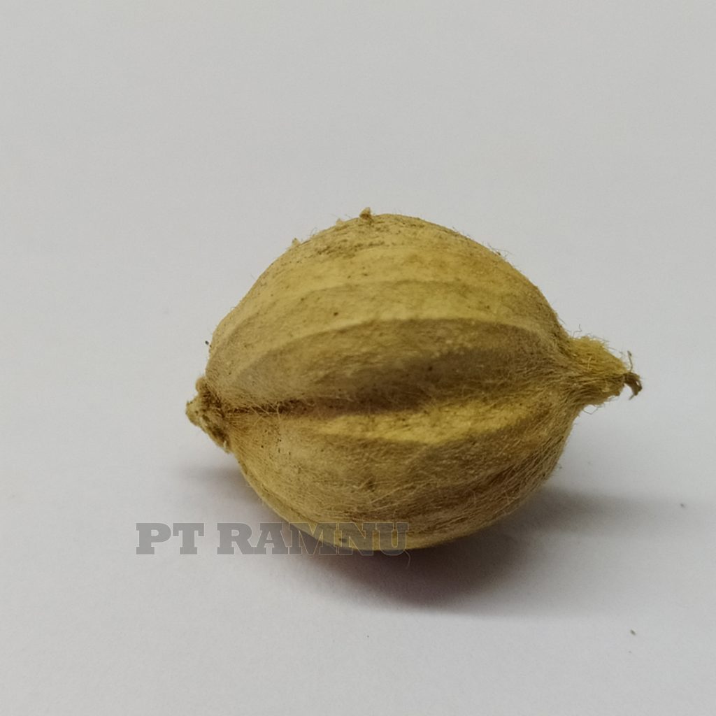 Cardamom